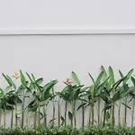 Villa Noni Kerobokan